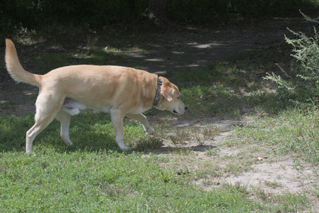 20250824_Dog park and Imby__DSC0175_.jpg