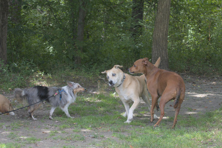 20250824_Dog park and Imby__DSC0186_.jpg