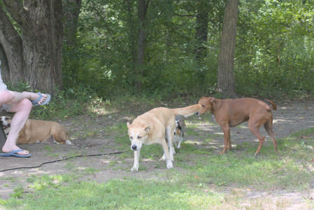 20250824_Dog park and Imby__DSC0187_.jpg
