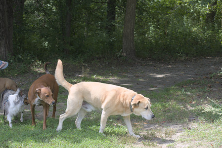 20250824_Dog park and Imby__DSC0189_.jpg