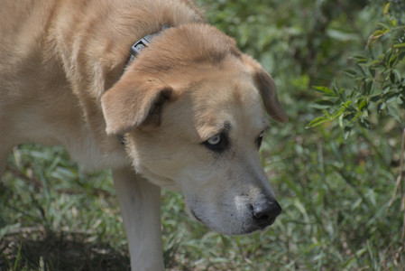 20250824_Dog park and Imby__DSC0191_.jpg