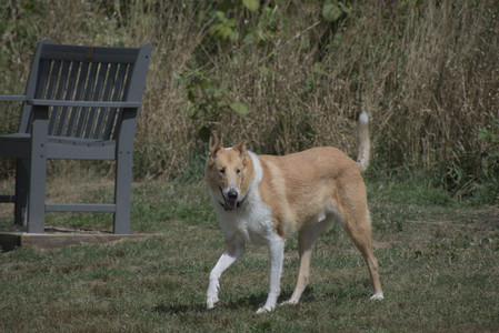 20250824_Dog park and Imby__DSC0193_.jpg