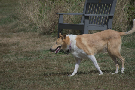 20250824_Dog park and Imby__DSC0194_.jpg
