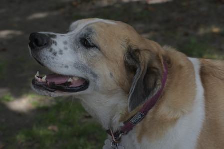 20250824_Dog park and Imby__DSC0195_.jpg