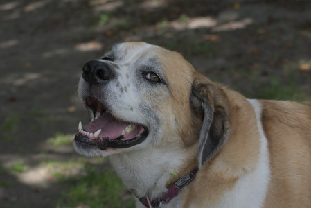 20250824_Dog park and Imby__DSC0196_.jpg