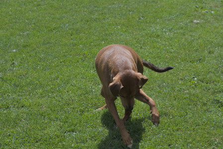 20250824_Dog park and Imby__DSC0197_.jpg