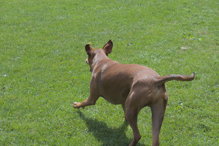 20250824_Dog park and Imby__DSC0199_.jpg