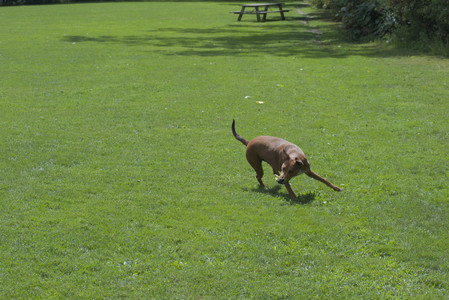 20250824_Dog park and Imby__DSC0202_.jpg