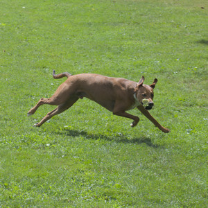 20250824_Dog park and Imby__DSC0203_.jpg
