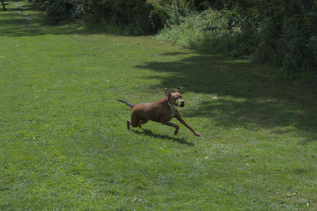 20250824_Dog park and Imby__DSC0204_.jpg