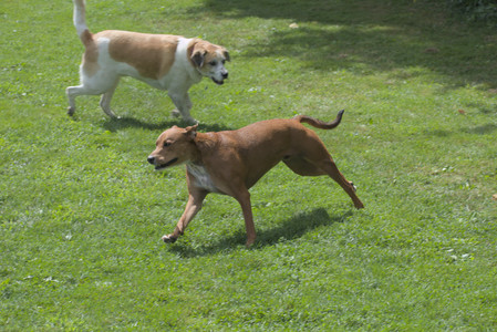 20250824_Dog park and Imby__DSC0206_.jpg