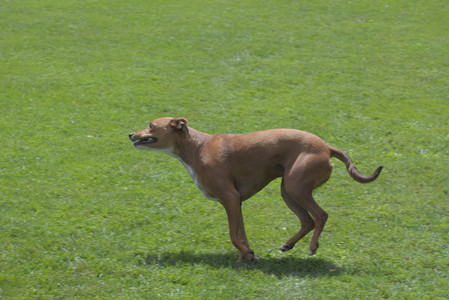 20250824_Dog park and Imby__DSC0207_.jpg