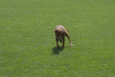 20250824_Dog park and Imby__DSC0210_.jpg