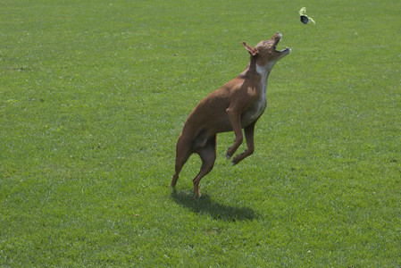20250824_Dog park and Imby__DSC0212_.jpg