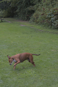 20250824_Dog park and Imby__DSC0219_.jpg