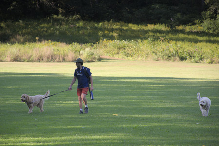 20250826_Thisbe and Dog park__DSC0052_.jpg