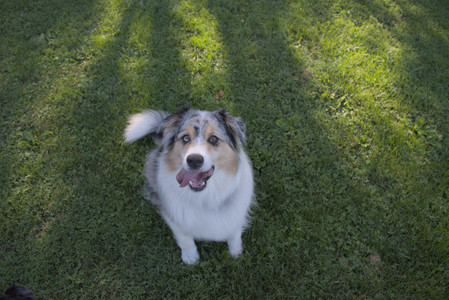 20250826_Thisbe and Dog park__DSC0069_.jpg