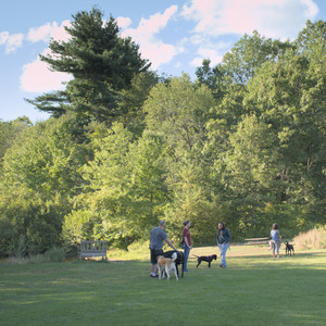 20250826_Thisbe and Dog park__DSC0076_.jpg