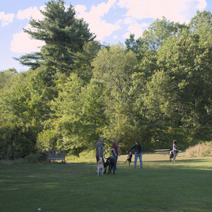 20250826_Thisbe and Dog park__DSC0077_.jpg