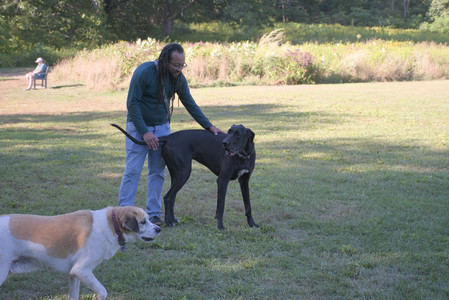 20250826_Thisbe and Dog park__DSC0079_.jpg