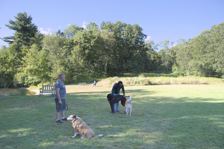 20250826_Thisbe and Dog park__DSC0083_.jpg