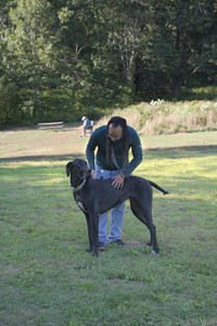 20250826_Thisbe and Dog park__DSC0086_.jpg