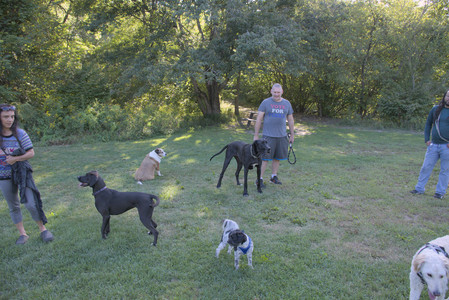 20250826_Thisbe and Dog park__DSC0097_.jpg