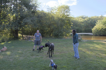20250826_Thisbe and Dog park__DSC0101_.jpg