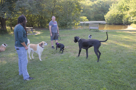 20250826_Thisbe and Dog park__DSC0107_.jpg