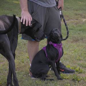 20250826_Thisbe and Dog park__DSC0108_.jpg