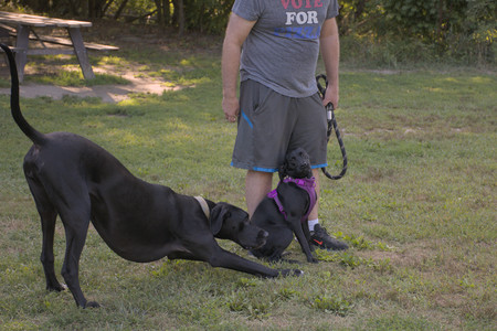 20250826_Thisbe and Dog park__DSC0110_.jpg