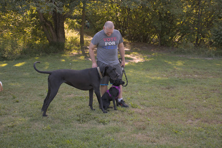 20250826_Thisbe and Dog park__DSC0113_.jpg