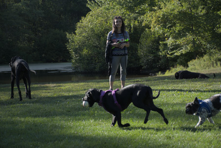 20250826_Thisbe and Dog park__DSC0114_.jpg