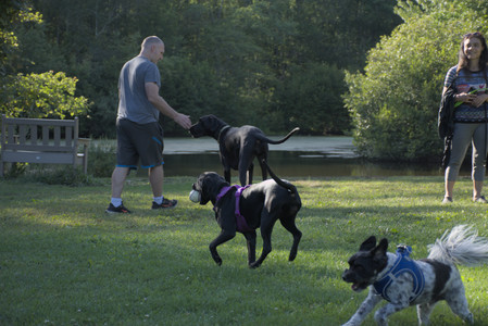 20250826_Thisbe and Dog park__DSC0115_.jpg