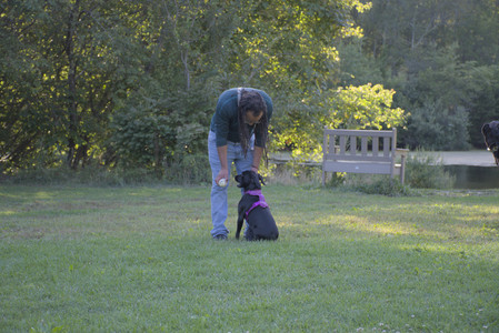 20250826_Thisbe and Dog park__DSC0117_.jpg