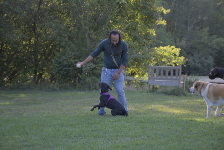 20250826_Thisbe and Dog park__DSC0118_.jpg