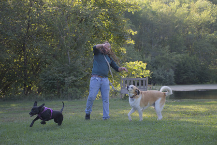 20250826_Thisbe and Dog park__DSC0120_.jpg