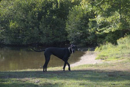 20250826_Thisbe and Dog park__DSC0130_.jpg