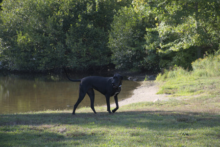 20250826_Thisbe and Dog park__DSC0131_.jpg