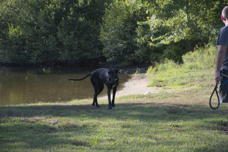 20250826_Thisbe and Dog park__DSC0132_.jpg