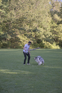 20250826_Thisbe and Dog park__DSC0155_.jpg