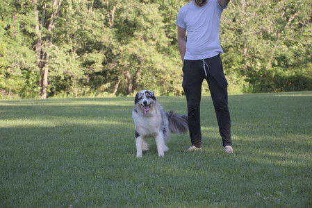 20250826_Thisbe and Dog park__DSC0160_.jpg