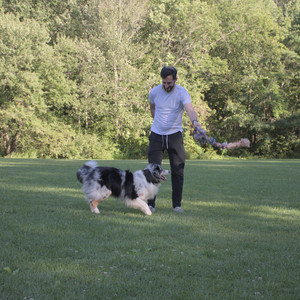 20250826_Thisbe and Dog park__DSC0162_.jpg