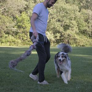 20250826_Thisbe and Dog park__DSC0168_.jpg