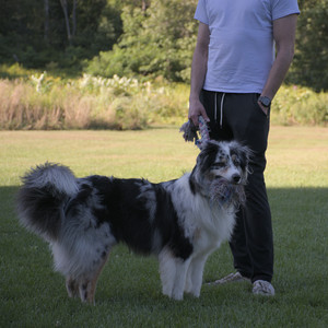 20250826_Thisbe and Dog park__DSC0172_.jpg