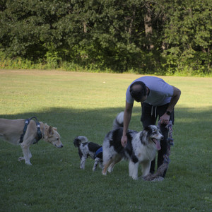 20250826_Thisbe and Dog park__DSC0182_.jpg