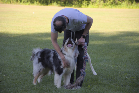 20250826_Thisbe and Dog park__DSC0184_.jpg