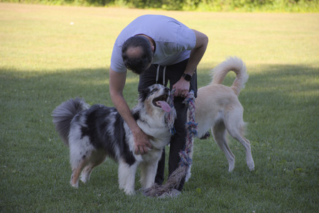 20250826_Thisbe and Dog park__DSC0185_.jpg