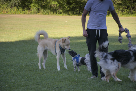20250826_Thisbe and Dog park__DSC0188_.jpg