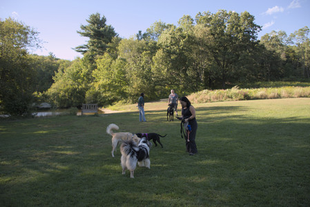 20250826_Thisbe and Dog park__DSC0198_.jpg